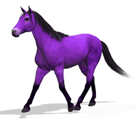 a purple horse walking